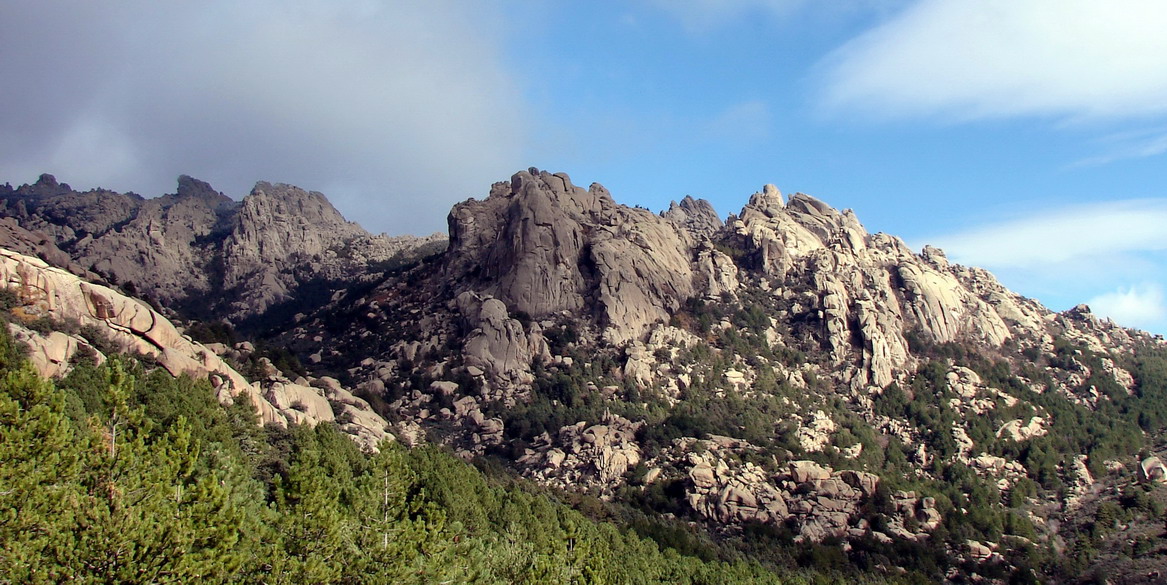 ICONO PEDRIZA POSTERIOR SECTOR ESTE r