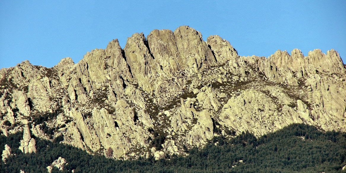 ICONO PEDRIZA POSTERIOR SECTOR NORTE r