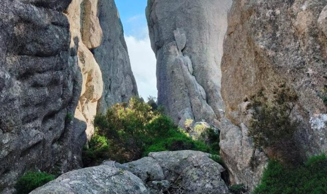 Vista del risco de los Tochis - La Pedriza