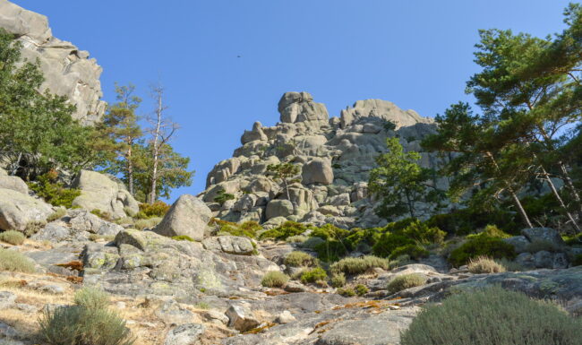 Vista del Callejón de las Abejas por la canal izquierda a la Aguja del Sultán - La Pedriza