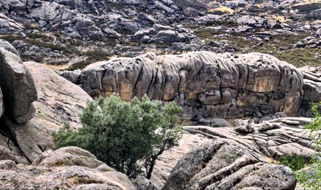 Vista del Contrafuerte de Peñas Cagás - La Pedriza