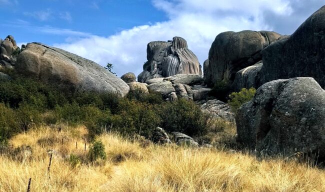 Vista del risco de Peñas Cagás desde la Senda Maeso - La Pedriza
